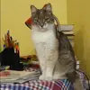 Отзыв от Ангелина Верещагина